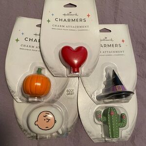 NWT Hallmark Charmers